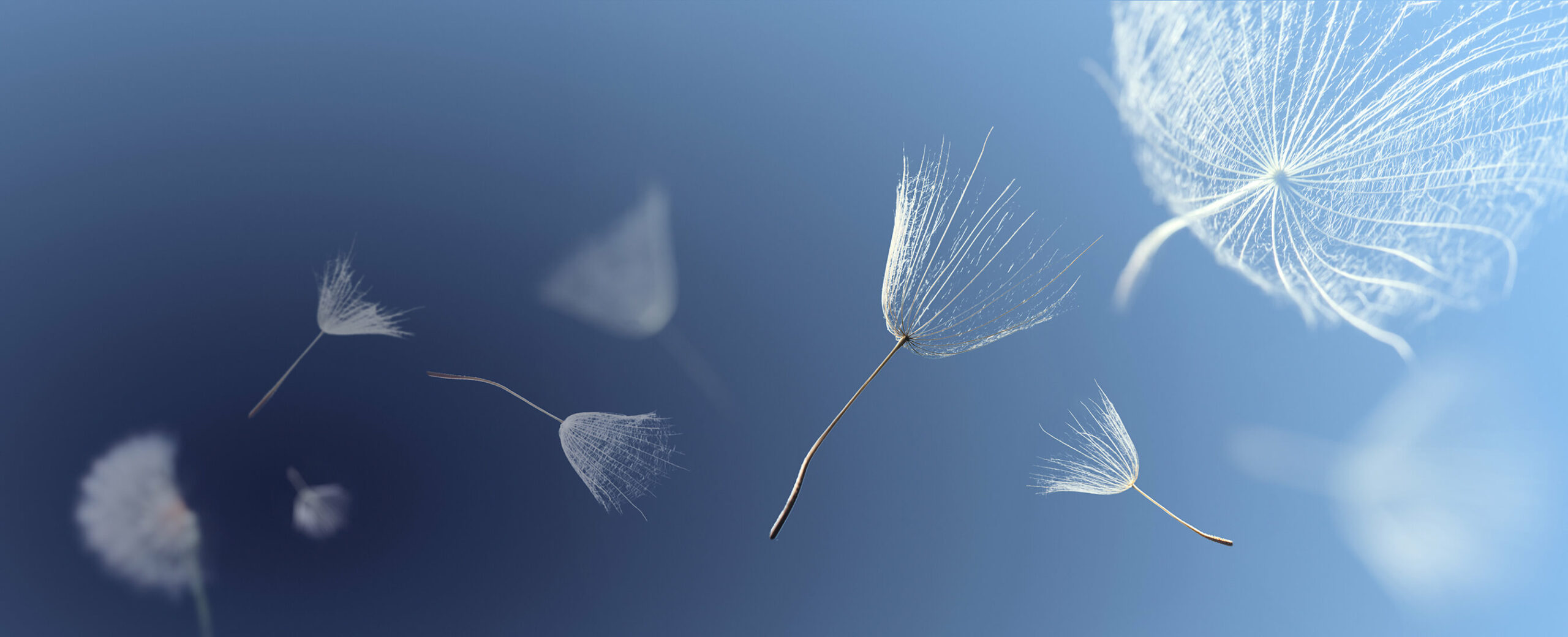 AdobeStock_134633190